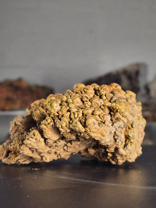 Mottramite Botryoidal - Mexico